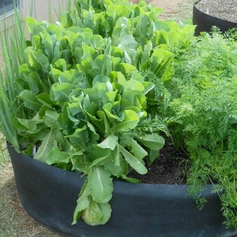 Fabric Raised Planting Bed - Just Unfold, Fill and Grow