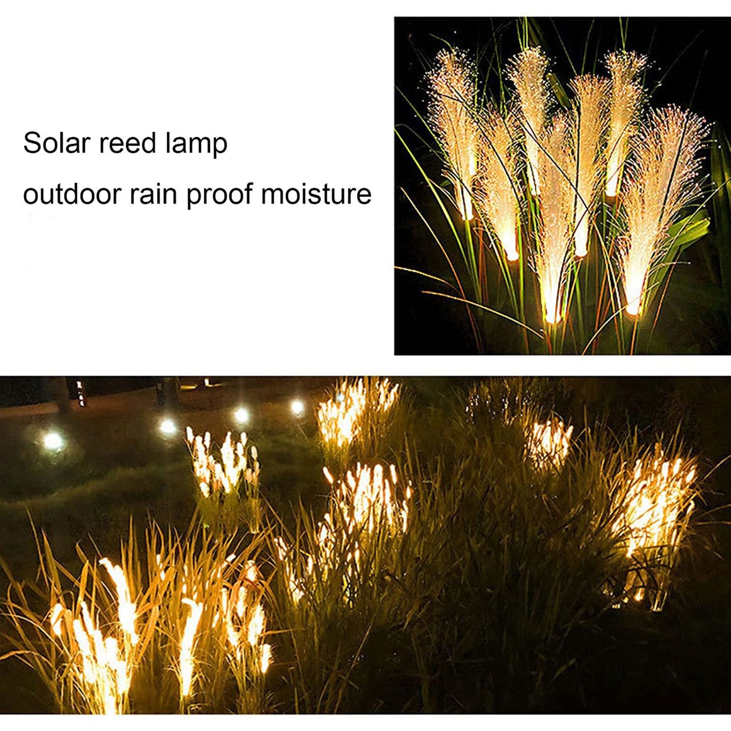 🔥UP TO 49% OFF🔥Solar Reed Lights- BUY 3 FREE SHIPPING