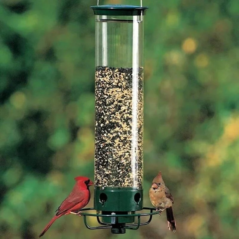 🔥Last Day 49% OFF🔥Squirrel-Proof Bird Feeder